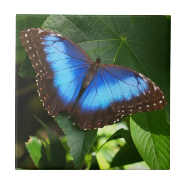 Azulejo De Cerâmica Borboleta Azul Morpho (Frente)