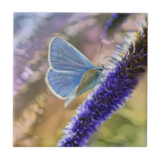 Azulejo De Cerâmica Borboleta Azul Pálido Nas Flores De Lavanda