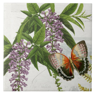 Azulejo De Cerâmica Borboleta Botânica Purple Wisteria Vintage 1