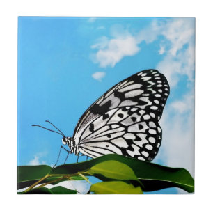 Azulejo De Cerâmica Borboleta & Céu