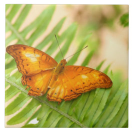 Azulejo De Cerâmica Borboleta crua