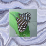 Azulejo De Cerâmica Borboleta de Onda Azul na Foto Folha<br><div class="desc">Para fãs de borboletas! Azulejo cerâmico com a imagem fotográfica de uma Borboleta Azul Onda que repousa sobre uma folha,  também conhecida como Borboleta Real Azul. Selecione o tamanho do seu azulejo. Faz uma trivet de cozinha excelente!</div>