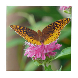 Azulejo De Cerâmica Borboleta de Silvery Checkerspot