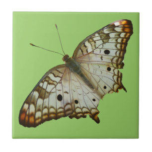 Azulejo De Cerâmica Borboleta Exótica de Santa Lúcia
