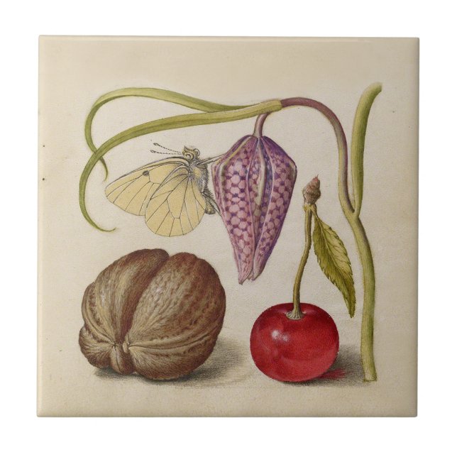 Azulejo De Cerâmica Borboleta Flor de Noz Flor, Cereja, Aquarela (Frente)