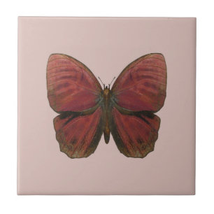 Azulejo De Cerâmica Borboleta Galo Vermelho