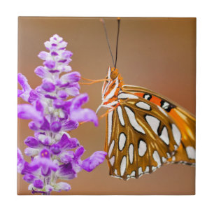 Azulejo De Cerâmica Borboleta Laranja Brilhante Gulf Fritillary
