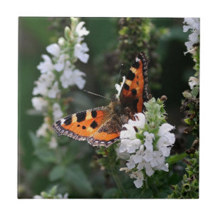 Azulejo De Cerâmica Borboleta Laranja e Brilhantes Brancos