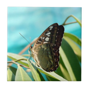 Azulejo De Cerâmica Borboleta Marrom com Asas Fechadas