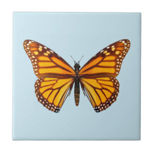 Azulejo De Cerâmica Borboleta Monarca