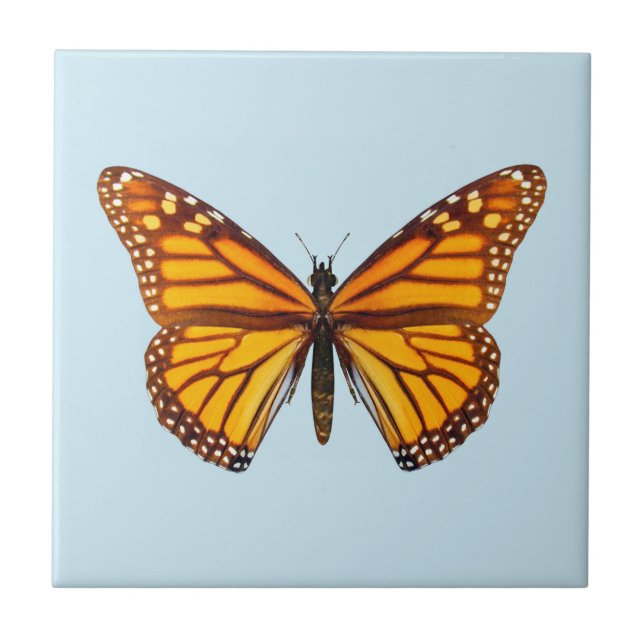 Azulejo De Cerâmica Borboleta Monarca (Frente)