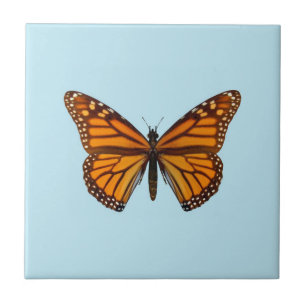 Azulejo De Cerâmica Borboleta Monarca