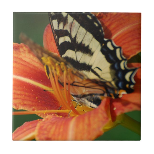 Azulejo De Cerâmica Borboleta no lírio (Frente)