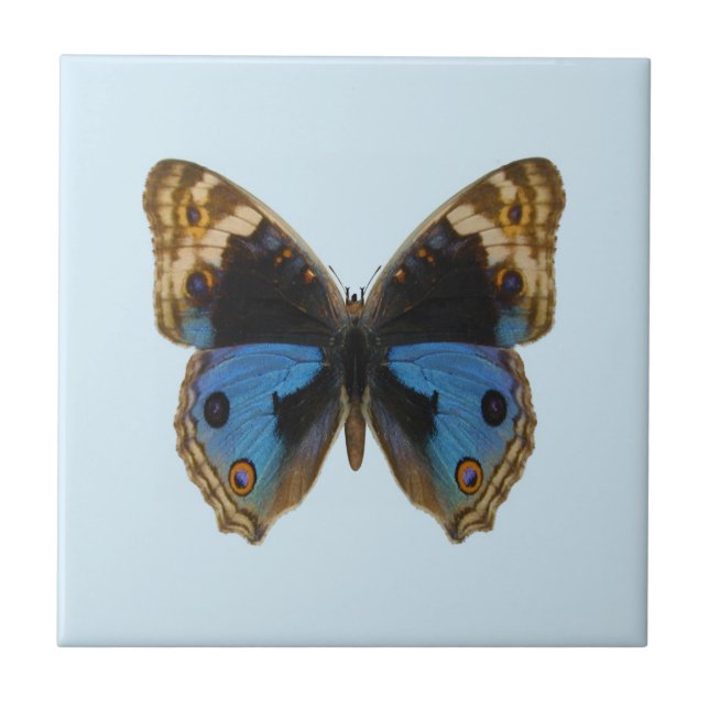 Azulejo De Cerâmica Borboleta Pansy Azul (Frente)