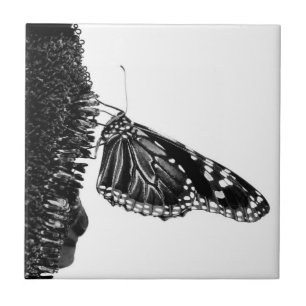 Azulejo De Cerâmica borboleta tímida preta