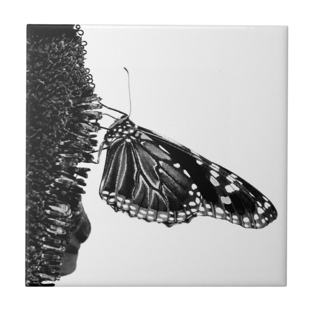 Azulejo De Cerâmica borboleta tímida preta (Frente)