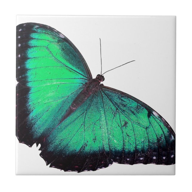 Azulejo De Cerâmica Borboleta verde (Frente)