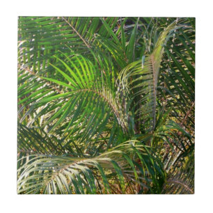 Azulejo De Cerâmica Bordas Tropicais de Palm Lit Sunset