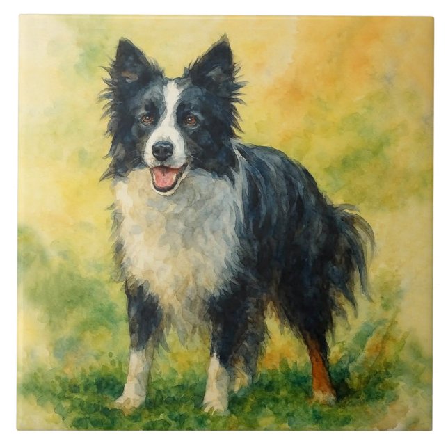 Azulejo De Cerâmica Border Collie (Frente)