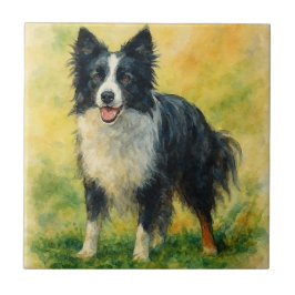 Azulejo De Cerâmica Border Collie