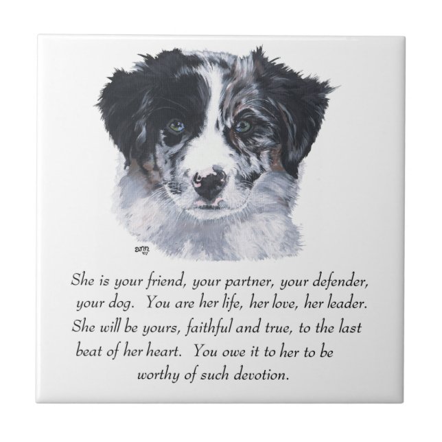 Azulejo De Cerâmica Border Collie Keepsakes (Frente)
