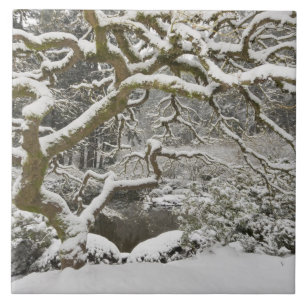 Azulejo De Cerâmica Bordo japonês coberto de neve