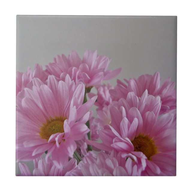 Azulejo de cerâmica boreal (Frente)