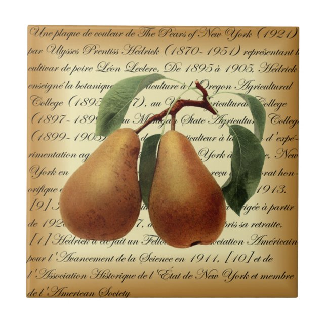 Azulejo De Cerâmica Bosc Pears~Léon Leclerc~Ulisses Prentiss Hedrick~ (Frente)