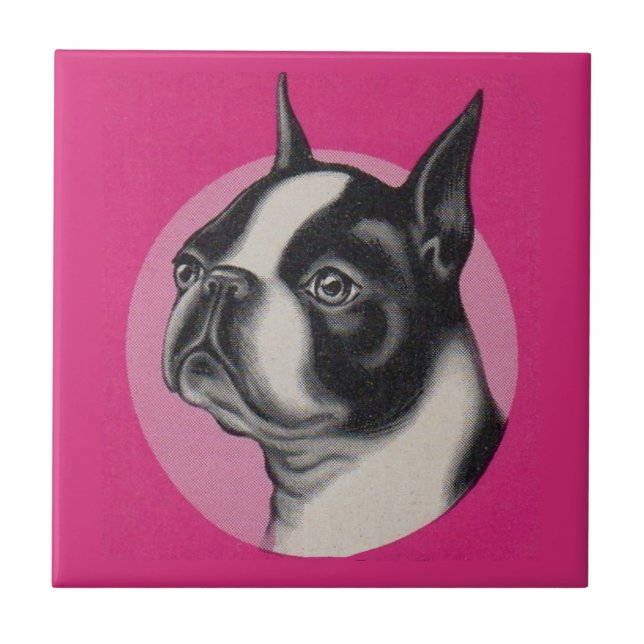 Azulejo De Cerâmica Boston terrier (Frente)