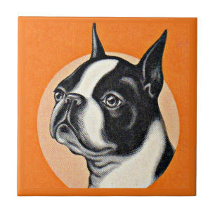 Azulejo De Cerâmica Boston terrier