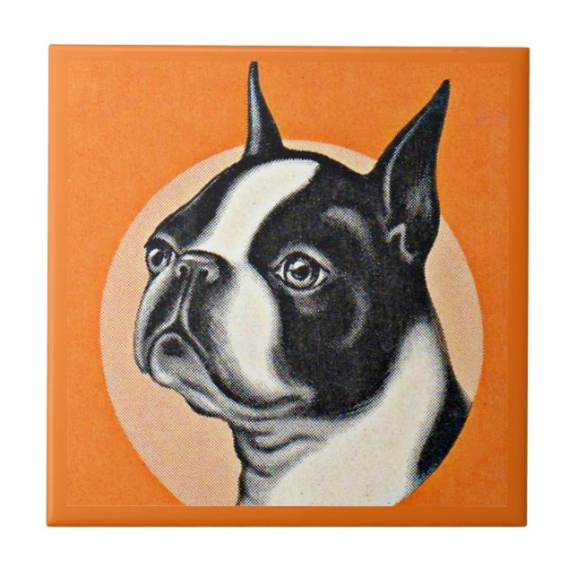 Azulejo De Cerâmica Boston terrier (Frente)
