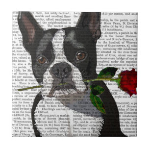 Azulejo De Cerâmica Boston Terrier com Rosa em Boca