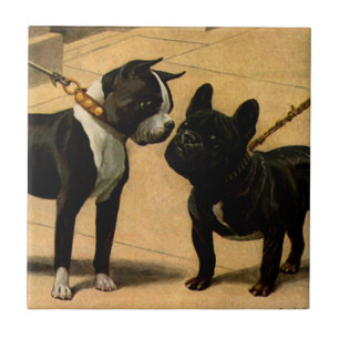 Azulejo De Cerâmica Boston Terrier e buldogue francês