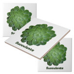 Azulejo De Cerâmica Botânica Natural Fotográfica Suculta Verde<br><div class="desc">Azulejos botânicos,  desenhados pela Nature!,  com uma planta de suculência Echeveria,  verde-fotográfica e fechada. Azulejos naturalmente bonitos para uso como barra invertida,  azulejos de sotaque,  artes e artesanatos,  plantas domésticas ou jardinagem. O texto é personalizável ou pode ser excluído. Esta imagem é uma fotografia botânica original de JLW_PHOTOGRAPHY.</div>