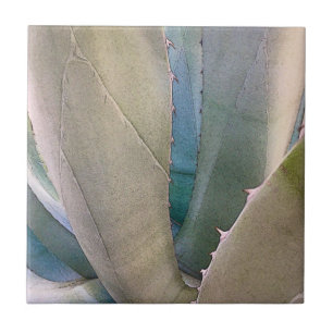 Azulejo De Cerâmica Botânica Sudoeste do Deserto