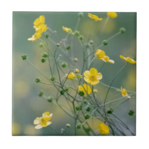 Azulejo De Cerâmica Botões de ouro amarelos