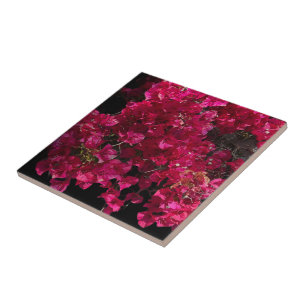 Azulejo De Cerâmica Bougainvillea Red Tropical Vining Shrub Foto