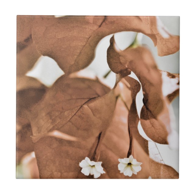 Azulejo De Cerâmica Bougainvillea Vermelha (Frente)