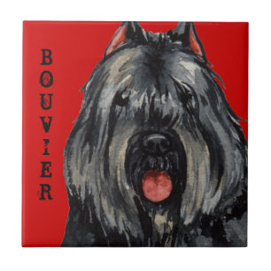 Azulejo De Cerâmica Bouvier Color Block
