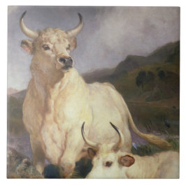Azulejo De Cerâmica Bovinos Selvagens de Chillingham