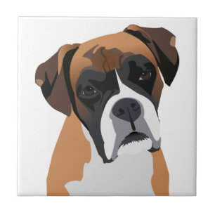 Azulejo De Cerâmica Boxer