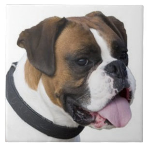 Azulejo De Cerâmica BOXER DOG, Pet Love, Best Frial KEEPSAKE
