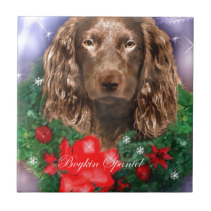 Azulejo De Cerâmica Boykin Spaniel Natal