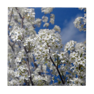 Azulejo De Cerâmica Bradford Pear Blooms