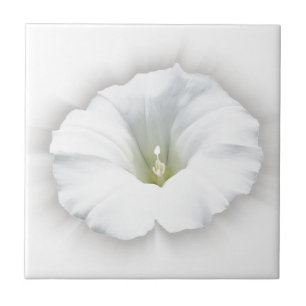 Azulejo De Cerâmica branco e sombra de cinza