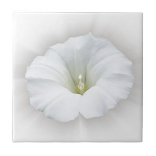 Azulejo De Cerâmica branco e tons de cinza