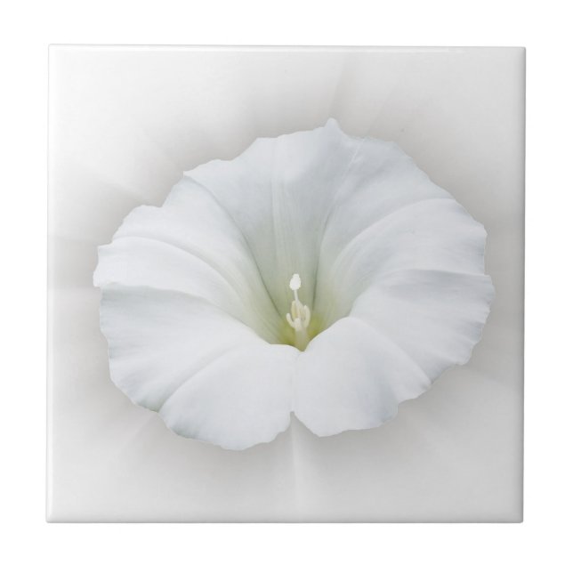 Azulejo De Cerâmica branco e tons de cinza (Frente)