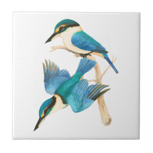 Azulejo De Cerâmica Brancos de Kingfisher