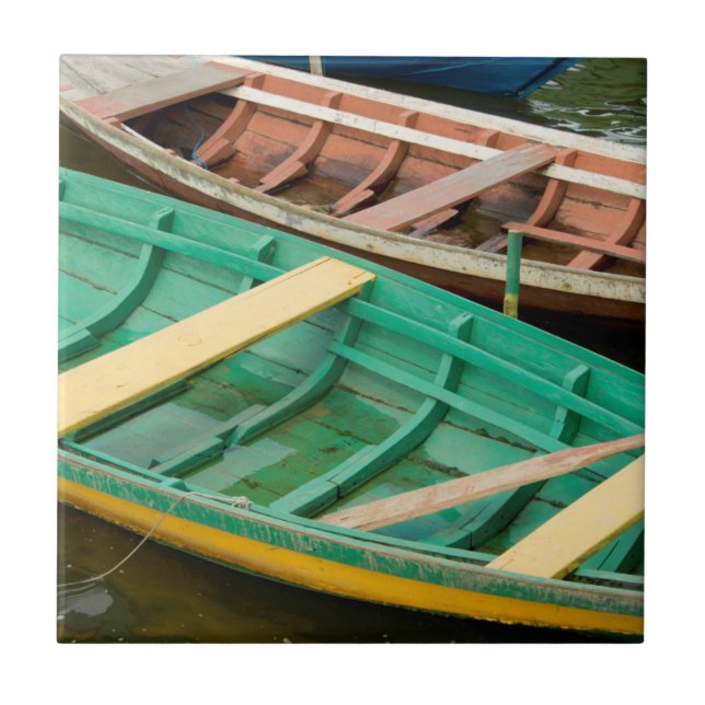 Azulejo De Cerâmica Brasil, Amazônia, Alter Do Chao 2 (Frente)