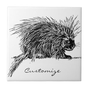Azulejo De Cerâmica Brilhante Hedgehog Thunder_Cove